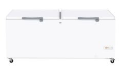 Beko 3600 DT 600 Litre Ticari Derin Dondurucu